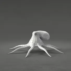Octopus